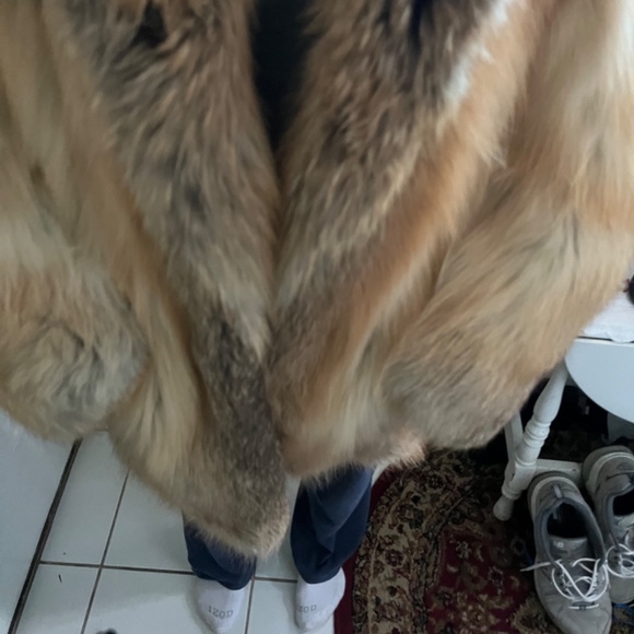 Beautiful Golden island fox coat - Picture 15 of 16